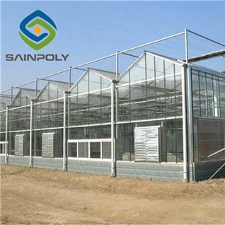 Hydrocultuur planten glazen kas