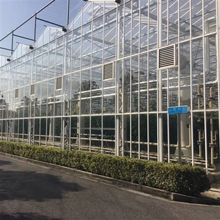 Intelligente landbouw Multi-span glazen kas